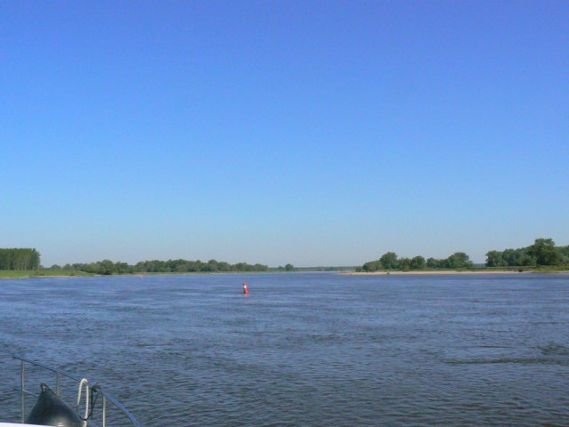 20110510-085212.jpg