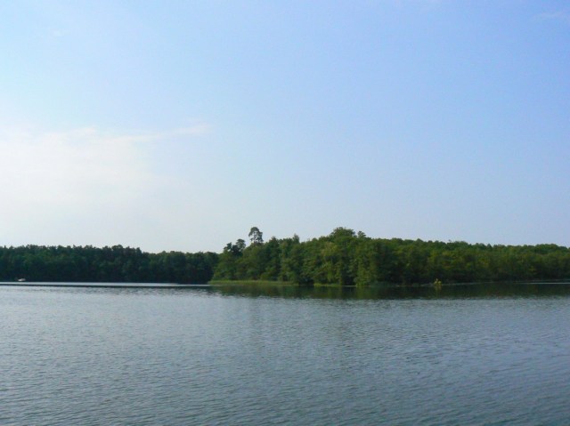 20110611-074833.jpg
