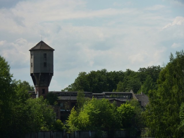 20110612-093447.jpg