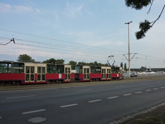 20110614-100426.jpg