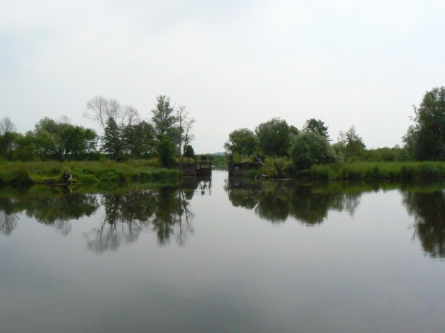 20110616-102653.jpg