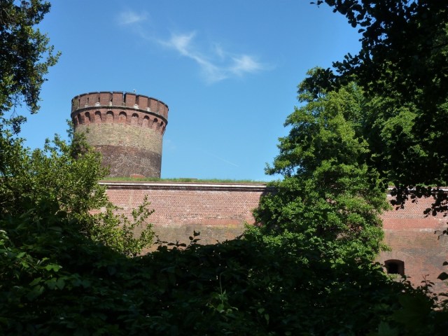 20110627-095302.jpg