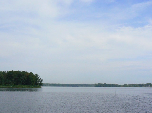 20110824-093144.jpg