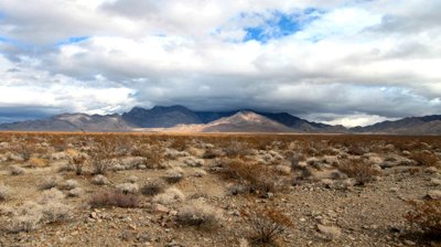 Mojave Desert 2