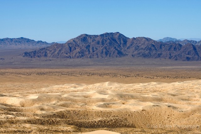 Mojave Desert - Kelso Dunes Area